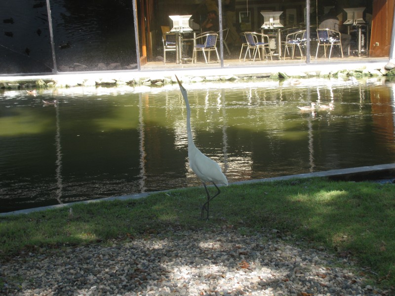 Dominican Republic 100.jpg